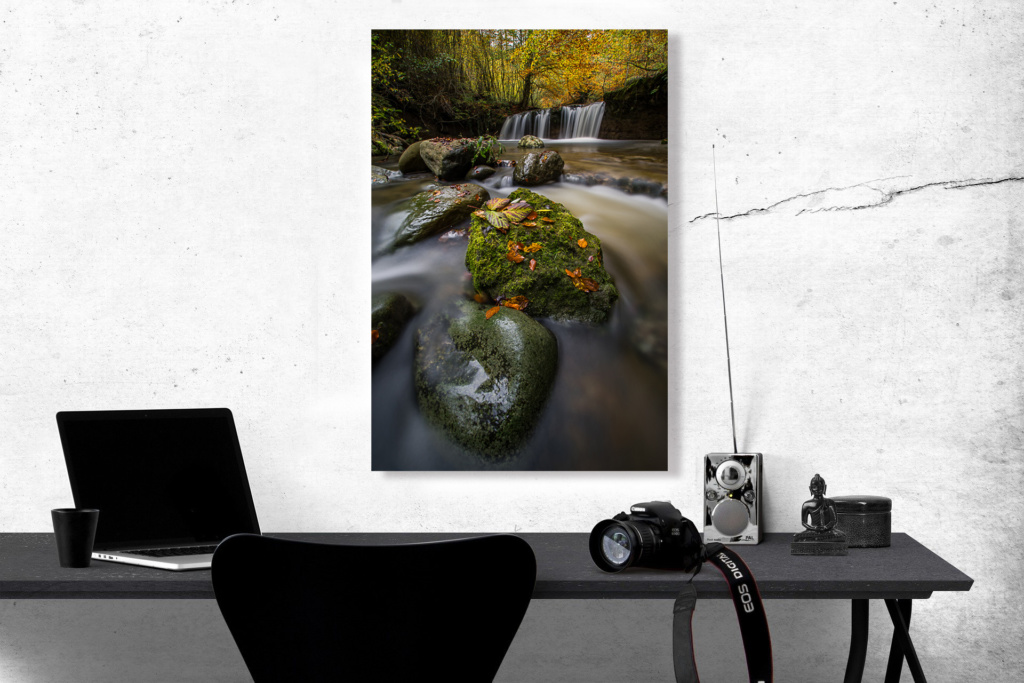 Photo d'automne