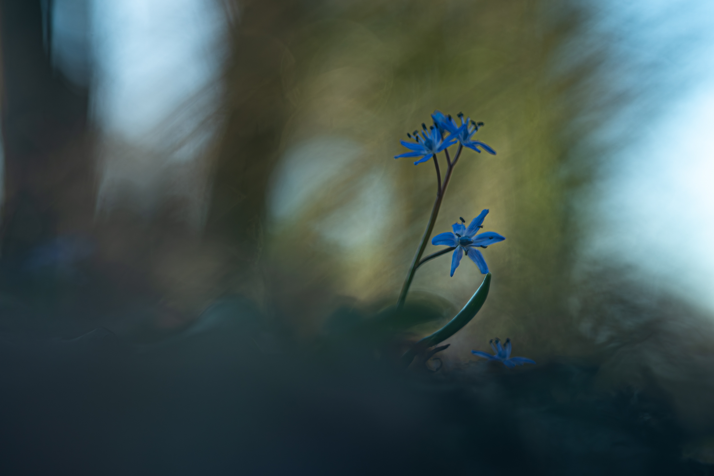 Helios 44-2