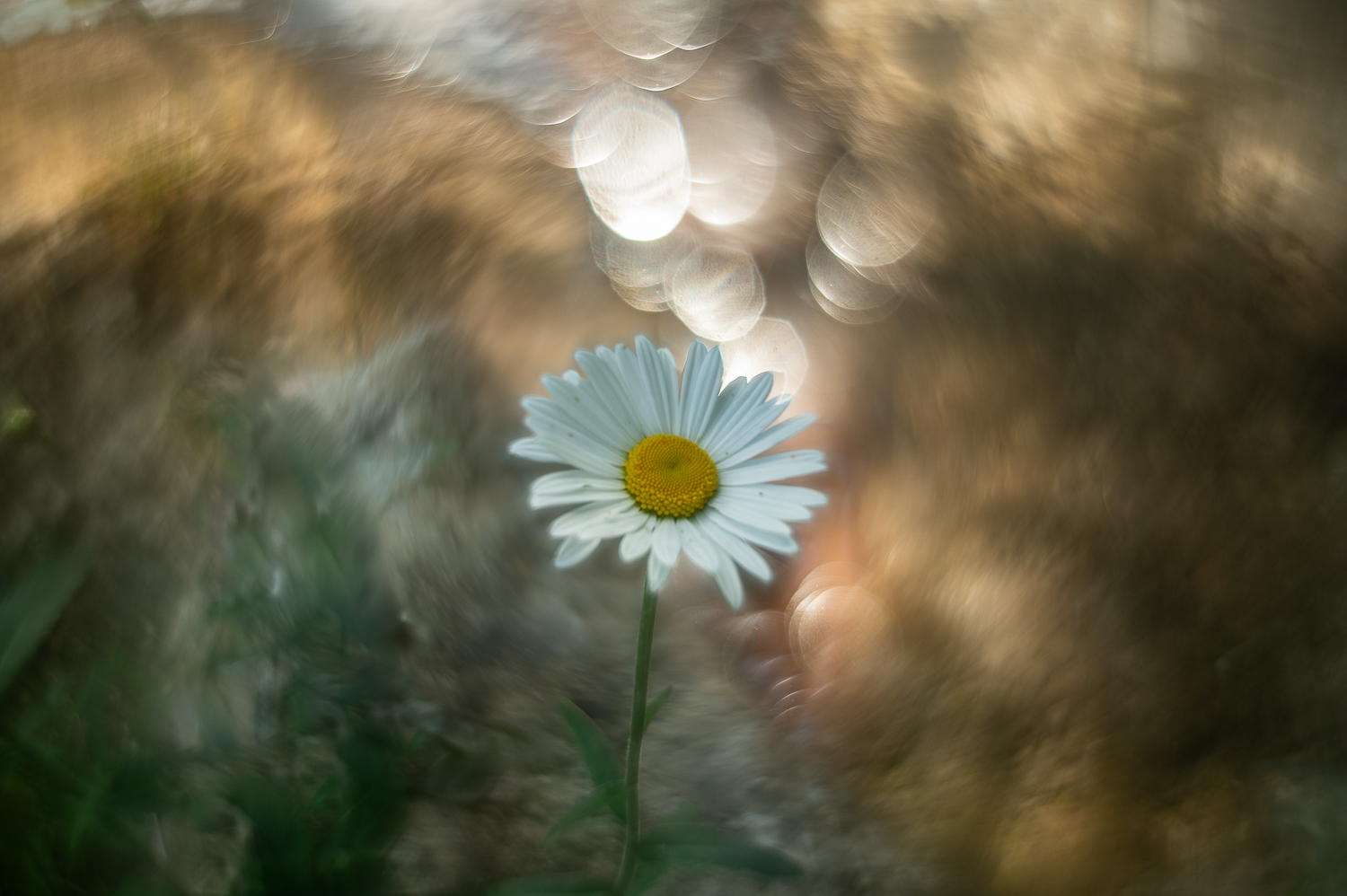 Helios 44-2