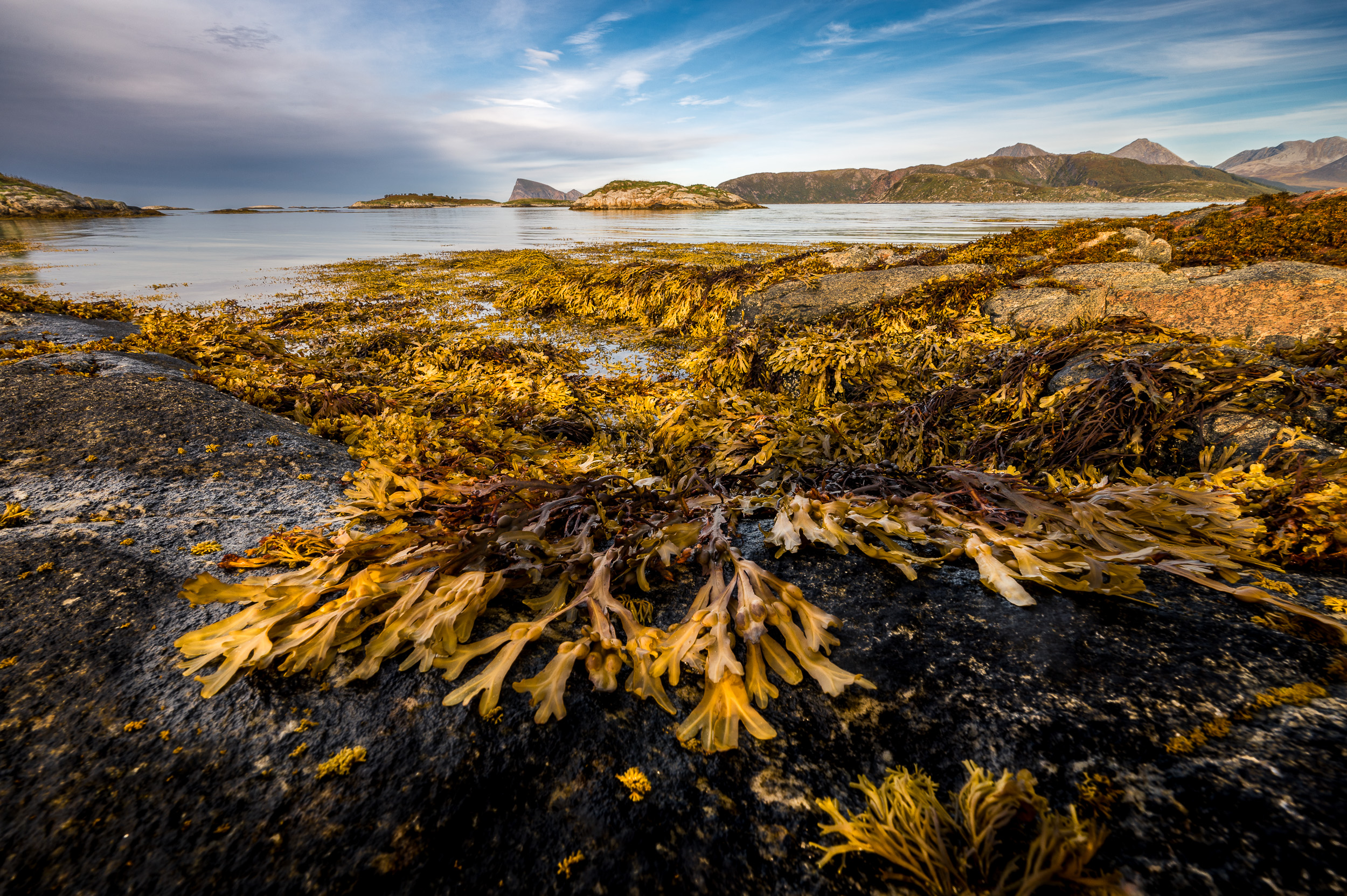 Norvege Hillesoy sommaroy