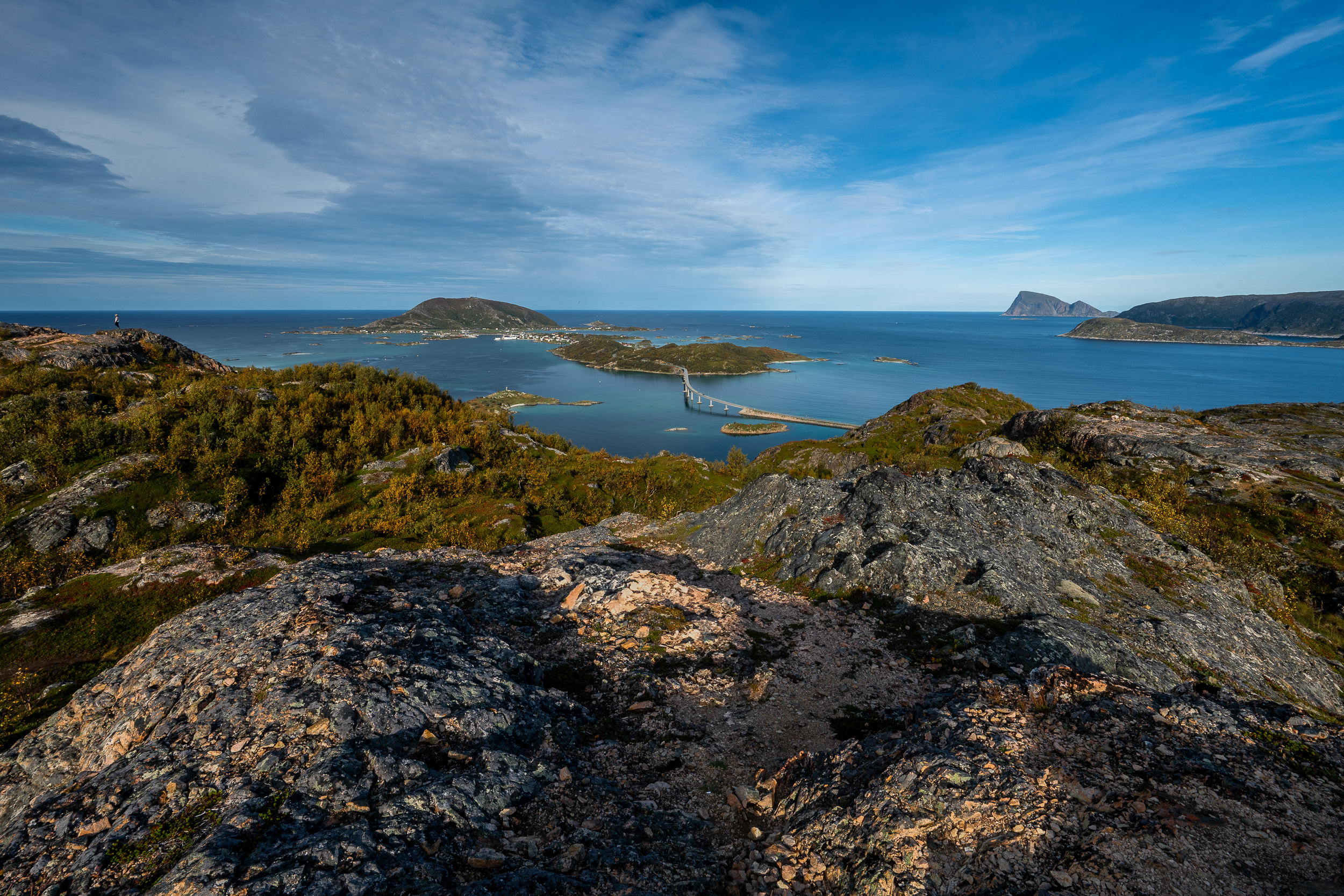 Norvege ornfloya trail