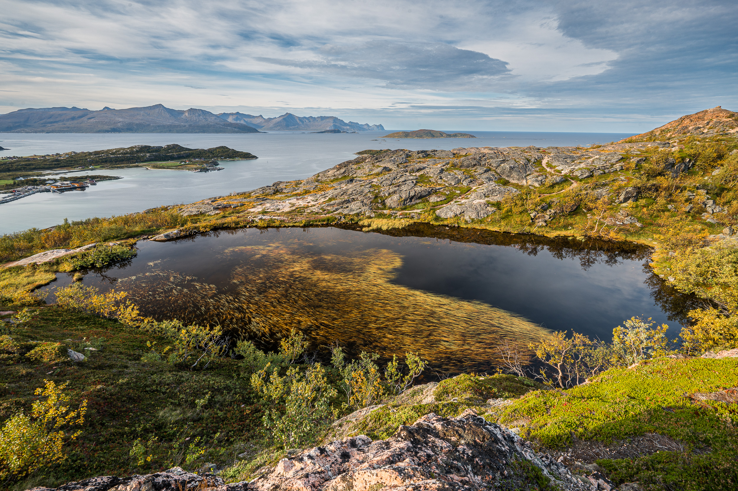 Norvege Ornfloya trail